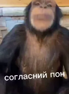 Sticker from ПРОФИ 3000