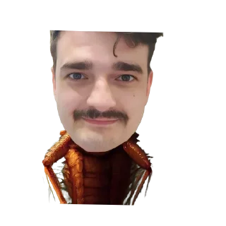 🪳 emoji ГЕМОРРОЙ 3000 Telegram sticker 6 of 106