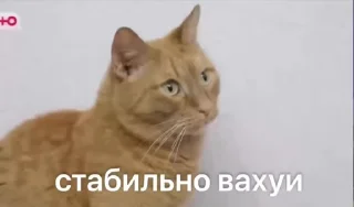 🌟 emoji Анимированный_т34 Telegram sticker 10 of 120
