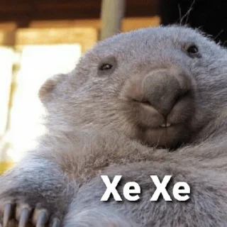 😁 emoji БОМБИТ Telegram sticker 24 of 111