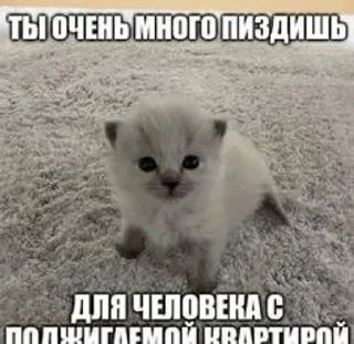 🔥 emoji меф & фурри (спб)^_^ Telegram sticker 19 of 47