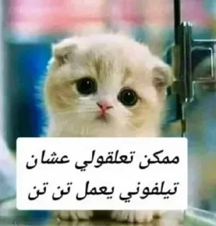 😿 emoji меф & фурри (спб)^_^ Telegram sticker 18 of 47