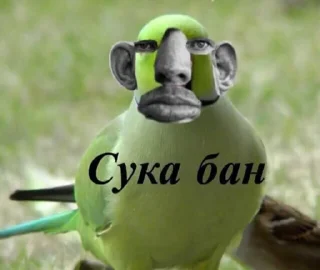 👏 emoji Кто нахуй Telegram sticker 2 of 37