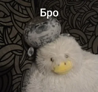 Sticker from Тюлень Виталий 🤨 @R0nd1xYT