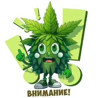 Sticker from Profit on Weed
@profitonweed_official
