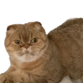 😥 emoji Вери найс гуд найс Telegram sticker 23 of 47