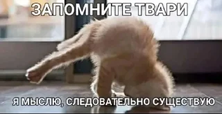 🌟 emoji шиза димдимыча Telegram sticker 17 of 120