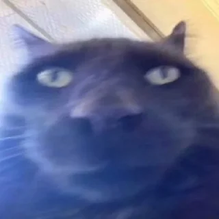😡 emoji нагну тебя Telegram sticker 6 of 120