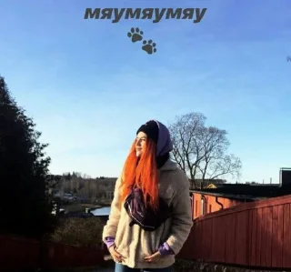 🐈 emoji нервы и кис кис сука Telegram sticker 23 of 48