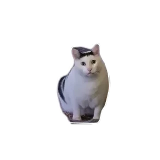 🤔 emoji Бухло Telegram sticker 16 of 19