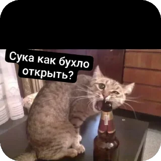 🤔 emoji Бухло Telegram sticker 2 of 19