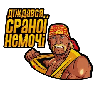 😺 emoji WWE Looks UA Telegram sticker 23 of 85