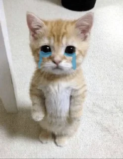 😥 emoji Kitty Telegram sticker 14 of 31