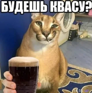 🍺 emoji Шлепа @anime_sticks Telegram sticker 19 of 25