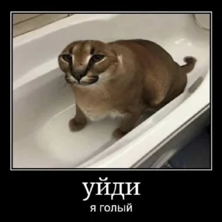 Sticker from шлепа @ceaselstick