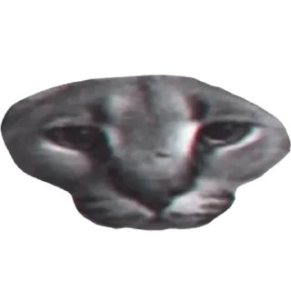 Sticker from Большой Шлепа