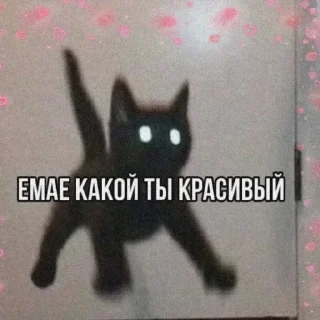 😍 emoji Хз че Telegram sticker 23 of 111