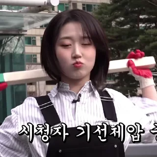 Sticker from haewon @nmixxvase