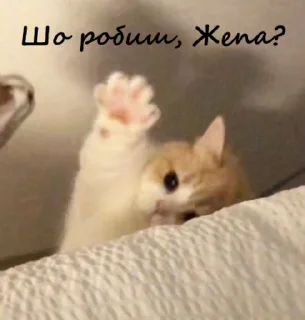 🥰 emoji ПікчіUA💙💛 Telegram sticker 21 of 41