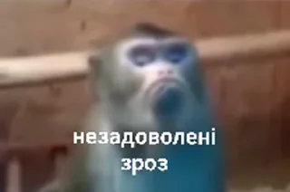 Sticker from зроз