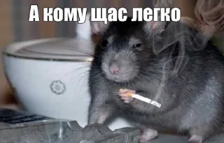 🚬 emoji we🐭 Telegram sticker 17 of 78