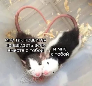 ❤️ emoji we🐭 Telegram sticker 11 of 78