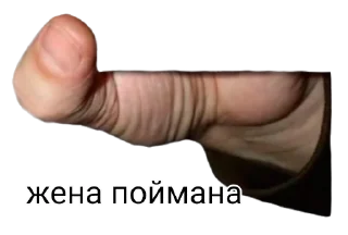 🏔 emoji вас поймали Telegram sticker 11 of 29