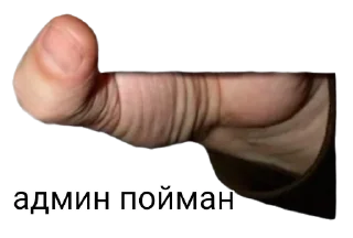 🏔 emoji вас поймали Telegram sticker 7 of 29