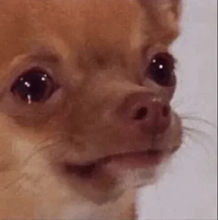 😭 emoji ✨СМЕХ/ГРЕХ✨ by galchonok Telegram sticker 17 of 120