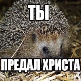 🤩 emoji рандомщина Telegram sticker 9 of 116