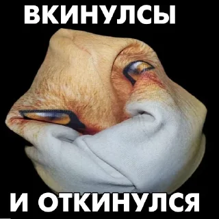 💊 emoji Лиса блоптоп Telegram sticker 17 of 17