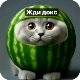 🫥 emoji Арбуз и тд (сделано @probably_kor) Telegram sticker 5 of 33