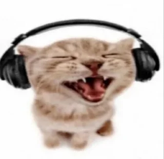 😛 emoji @casualsongsss Telegram sticker 8 of 25