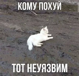 🌟 emoji рабочее Telegram sticker 6 of 101