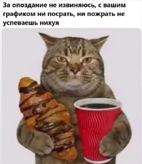 🌟 emoji рабочее Telegram sticker 8 of 101