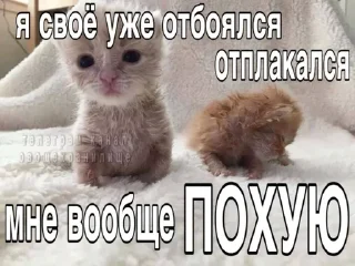 🌟 emoji рабочее Telegram sticker 10 of 101