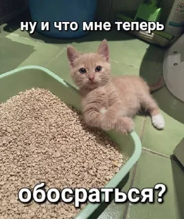 🌟 emoji рабочее Telegram sticker 7 of 101