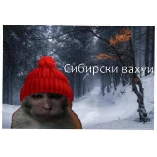 😐 emoji Вахуи Telegram sticker 12 of 18
