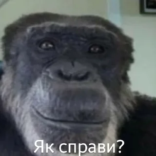 Sticker from Емоції життя