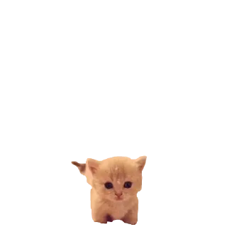 🥹 emoji Микрочелы @normajumleu Telegram sticker 10 of 30