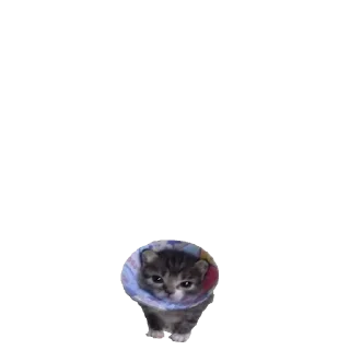 🤧 emoji Микрочелы @normajumleu Telegram sticker 15 of 30