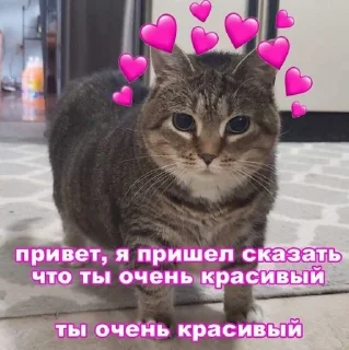 Sticker from Взрослый мой🙄🖕💗