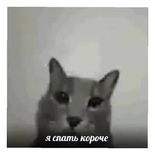 😍 emoji какашка Telegram sticker 21 of 38