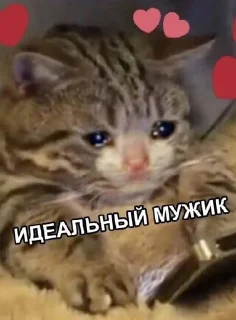 🌟 emoji на все случаи жизни by @kristievss Telegram sticker 15 of 94