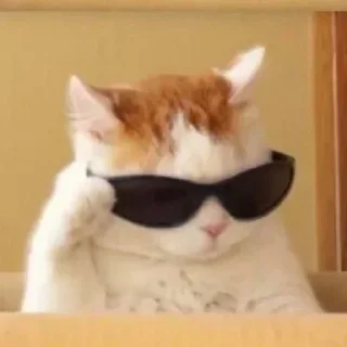 😎 emoji кітики Telegram sticker 12 of 57