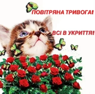 😿 emoji ylsk Telegram sticker 15 of 67