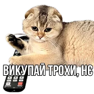 🙄 emoji ylsk Telegram sticker 10 of 67