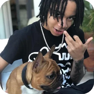 🖕 emoji diaa_an🫗 Telegram sticker 14 of 120