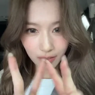 🚘 emoji sana — @didistick Telegram sticker 2 of 23