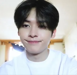 🙂 emoji knowlee_core Telegram sticker 2 of 108